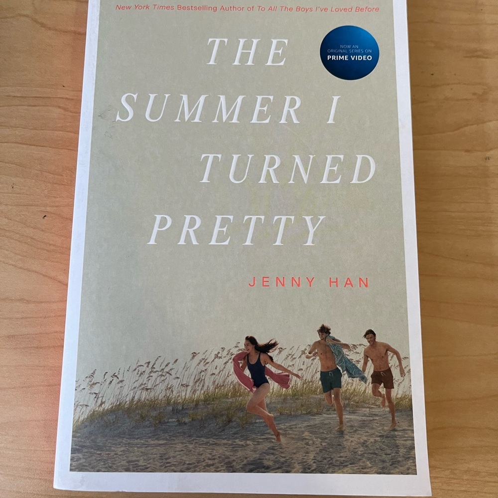 The Summer I turned pretty book
